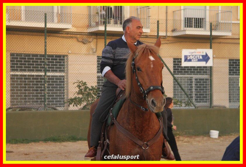 161106 equestre 127_tn.jpg